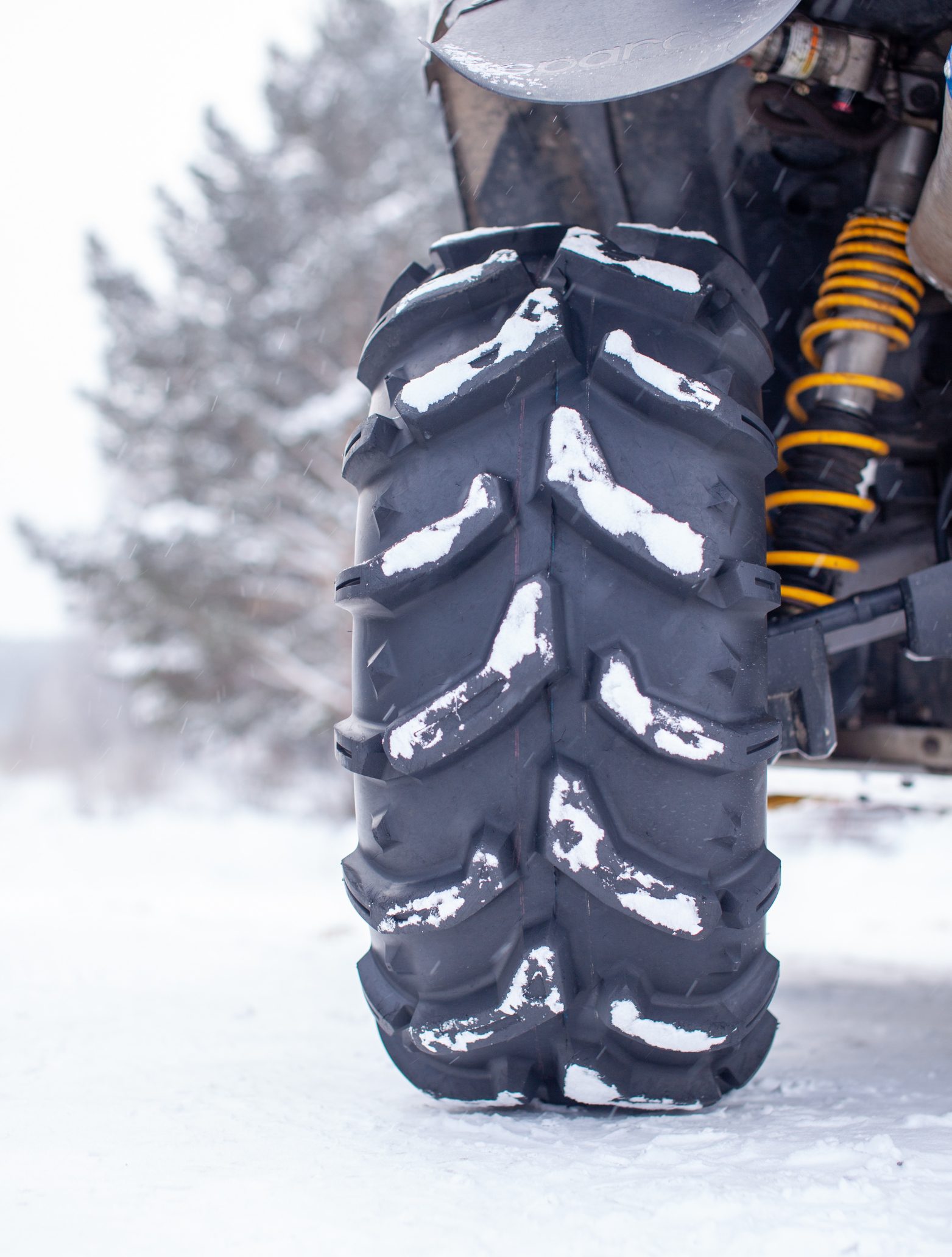 Bez Tytulu 500 X 660 Px 6